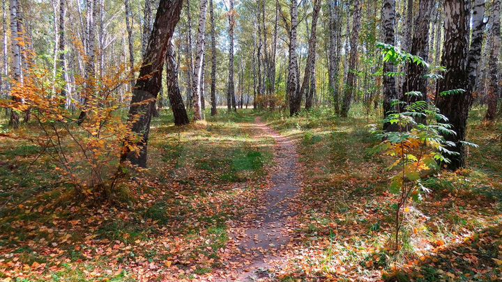 3-к. квартира, 84,5 м², 13/23 эт.