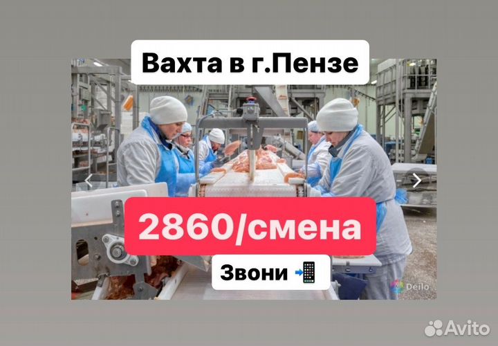 Птицефабрика упаковщик на производстве вахта