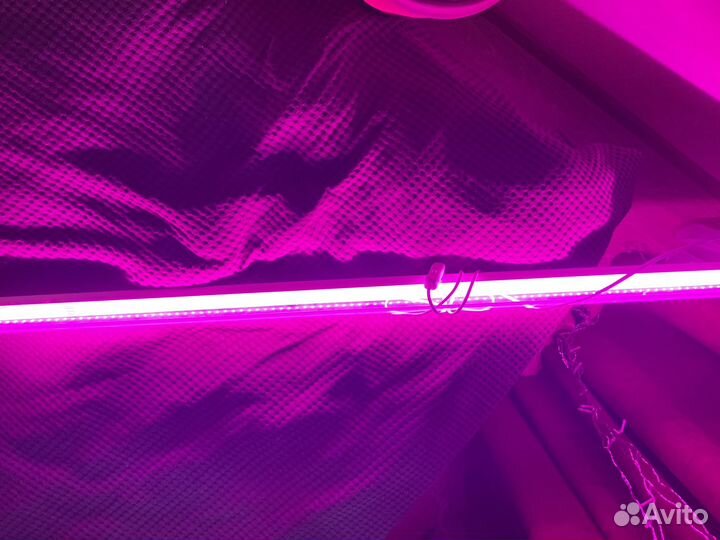 Фитолампа для растений