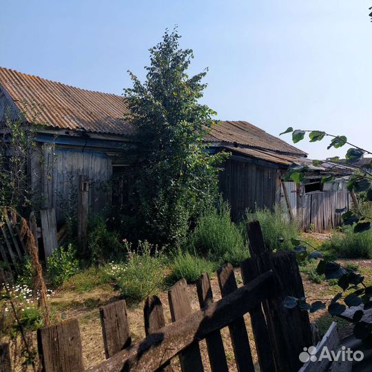 Дрова