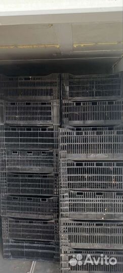 Ящик пластиковый Голландия(цветочный)