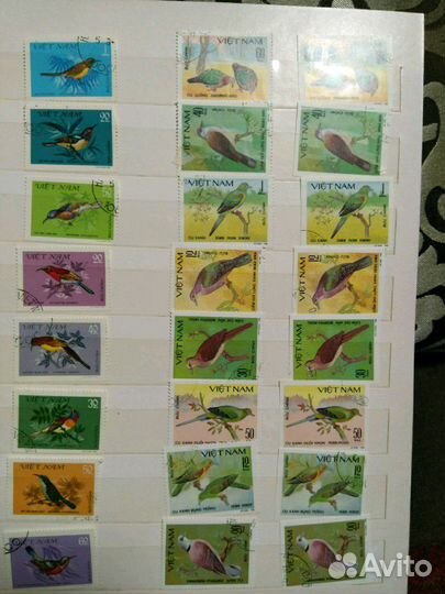 Марки (1) флора и фауна