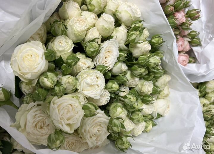 Кустовая роза опт розница букеты