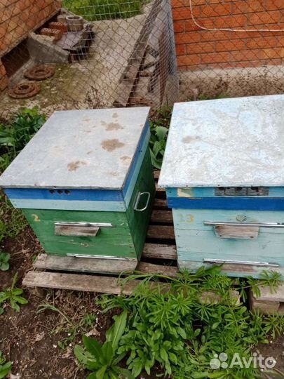 Улей для пчел бу
