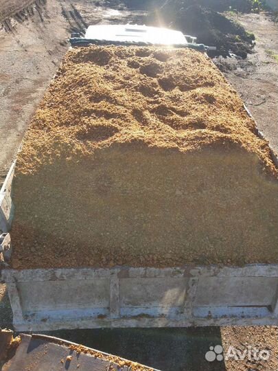 Жом яблочный