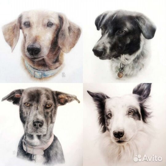 Нарисую вашего любимого питомца