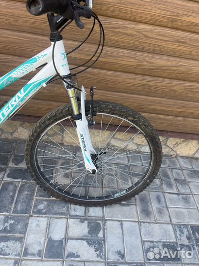 Stern Ladies Specific Geometry