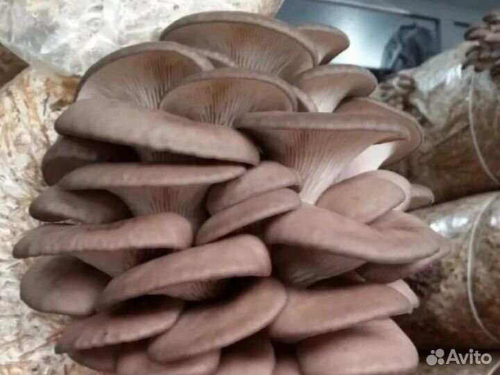 Инвестиции