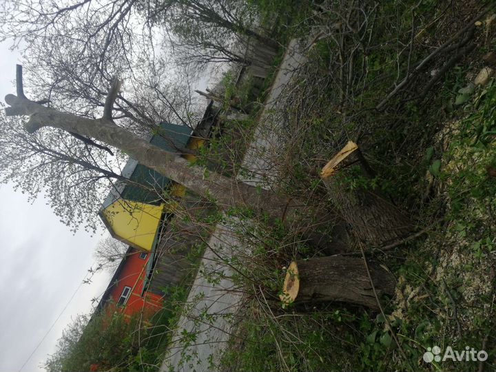 Спил деревьев. Копка земли. Демонтаж