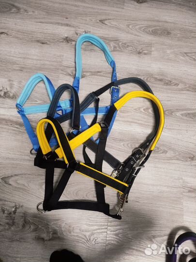 Недауздок для лошади