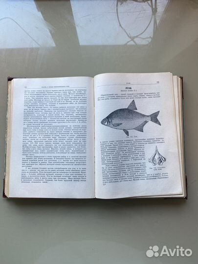 Жизнь и ловля пресноводных рыб Л П.Сабанеев 1959г