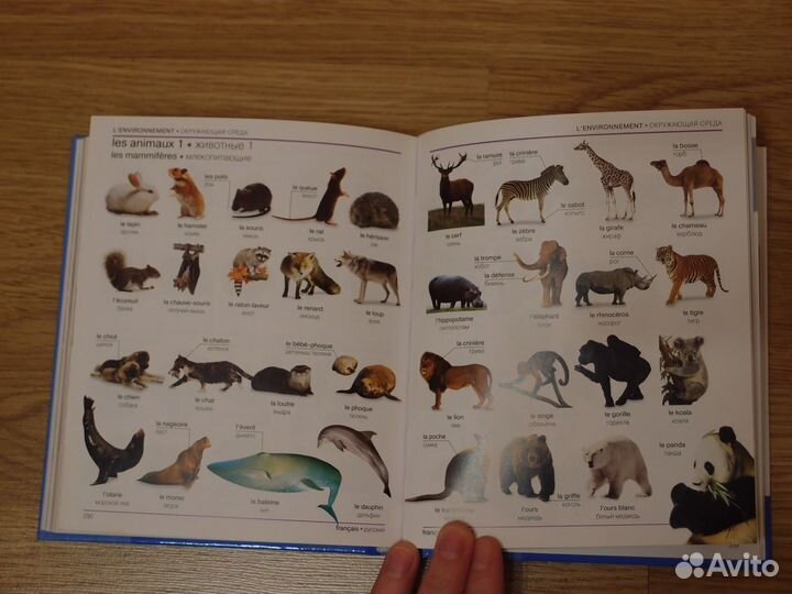 Французско-русский наглядный/визуальный словарь