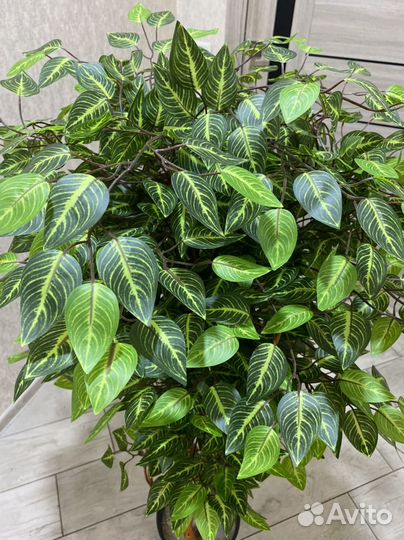 Искусственное дерево