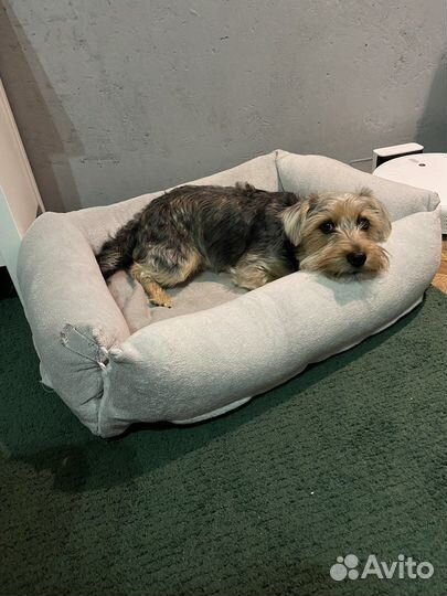 Лурвиг икеа лежанка