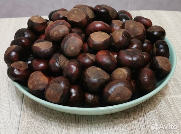 Каштаны для поделок
