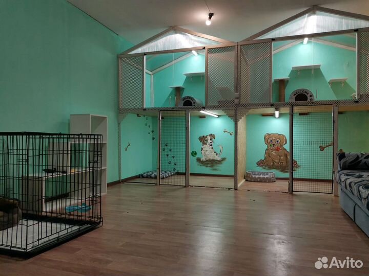 Передержка животных