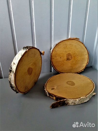 Спилы из березы