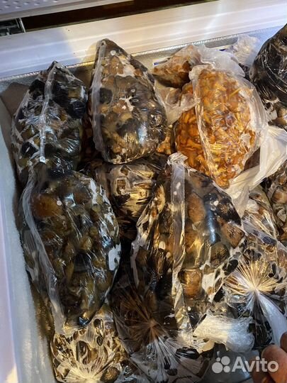 Грибы замороженные