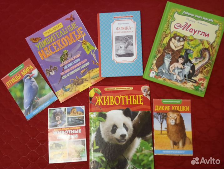 Детские энциклопедии и книги пакетом