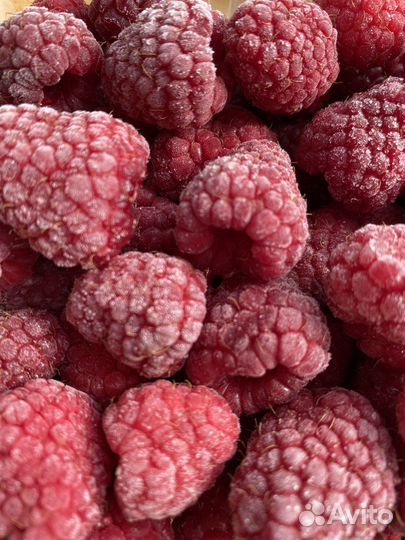 Брусника ягода