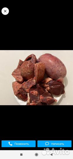 Корм для собак