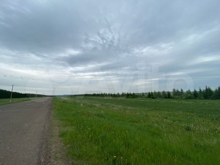 Участок 25 га (СНТ, ДНП)