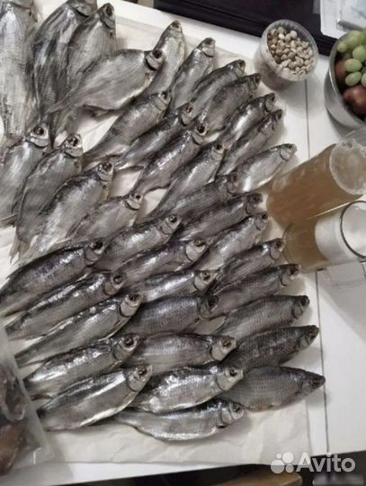 Вобла вяленая из Астрахани