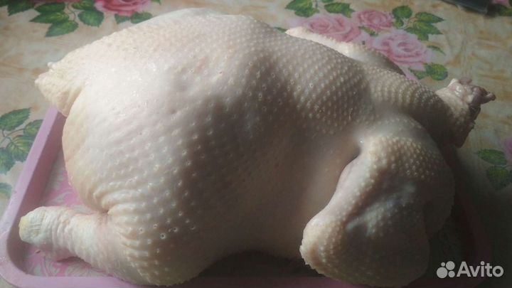 Корнишоны. Мясо бройлера, тушёнка