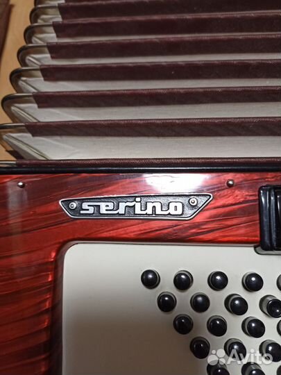 Аккордеон бу