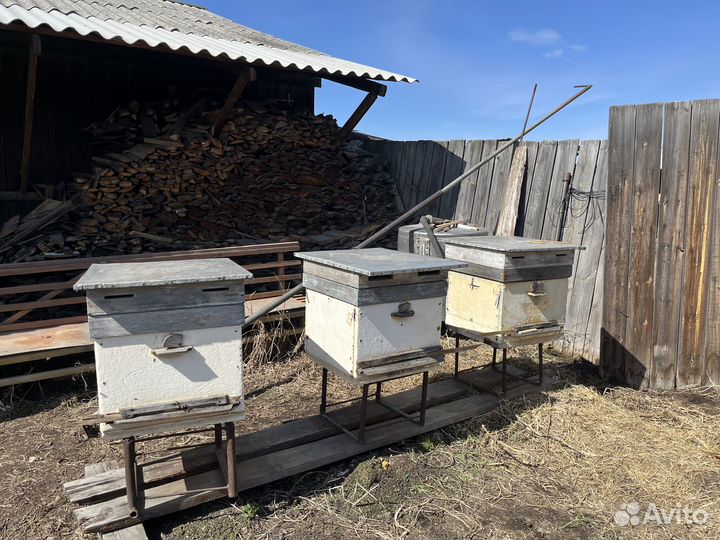 Продам пчелосемьи, Медогонку, Рамки