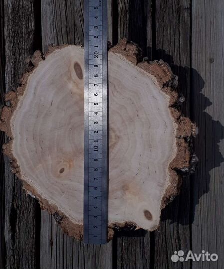 Торцевой Спил (Срез) березы -два среза