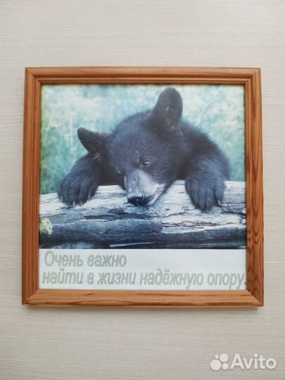 Рамки со стеклом, дерево 25х25 и 25х35