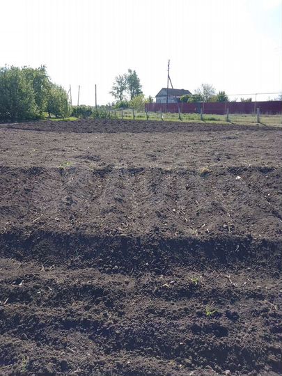 Участок 10 сот. (ИЖС)