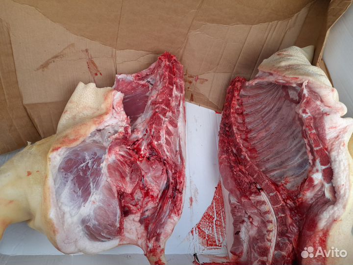 Продам домашнее мясо свинины
