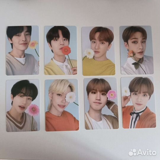 Карточки kpop stray kids