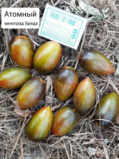 Семена томатов черри