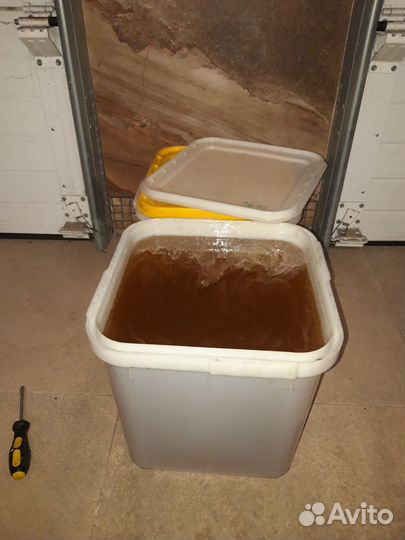 Мед натуральный (разнотравье) 2023 года