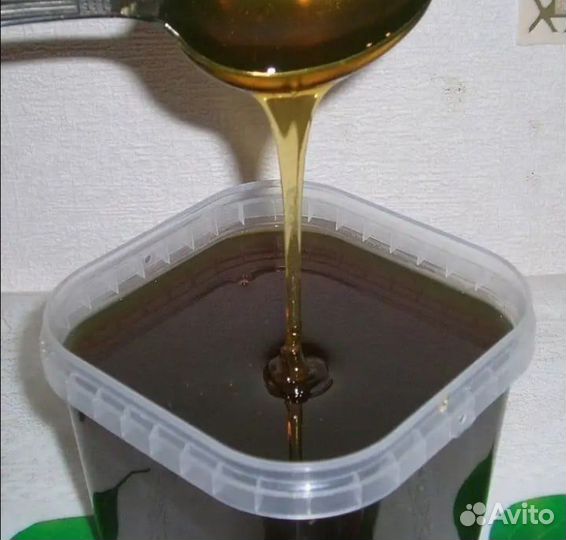 Гречишный мед оптом