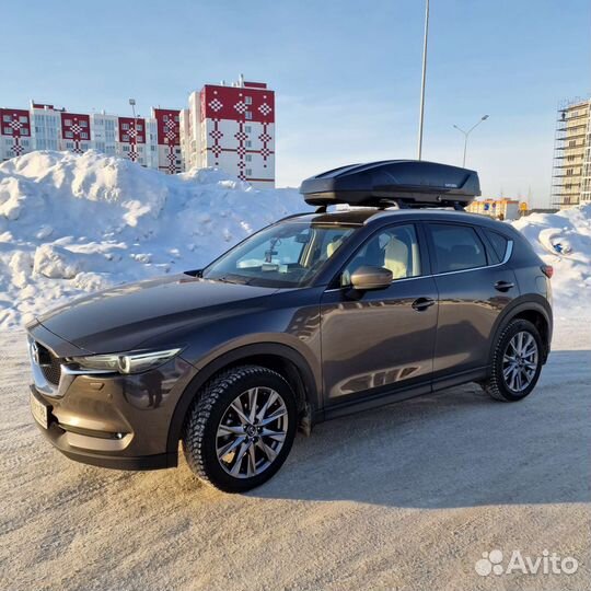 Автобокс Сатурн-430 чёрный карбон