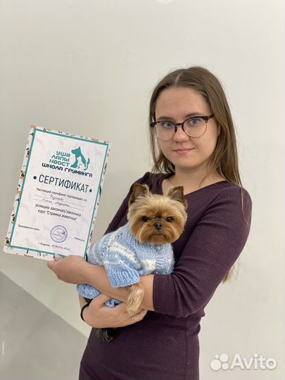 Курсы по стрижке животных