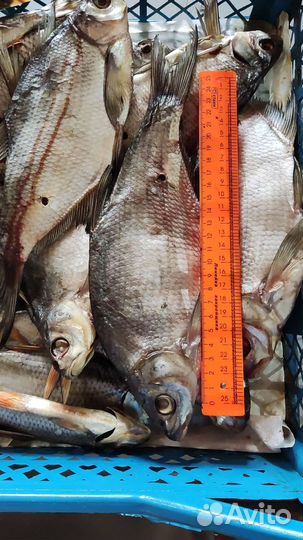 Вяленая рыба