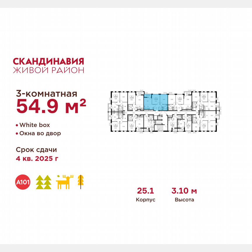 3-к. квартира, 54,9 м², 14/14 эт.
