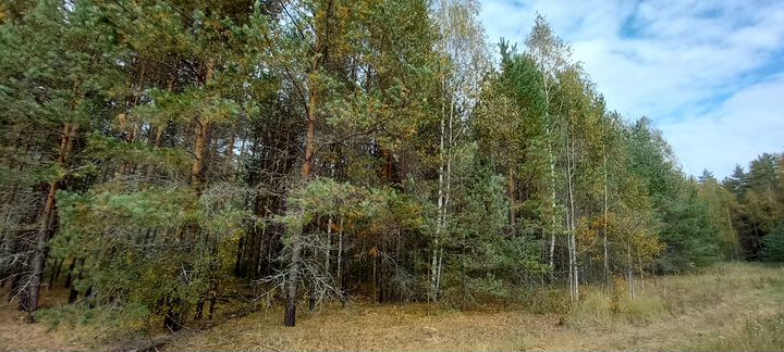 Участок 2 га (СНТ, ДНП)