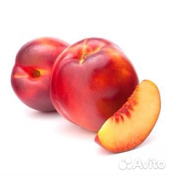 Саженец 2 летний персика нектарин