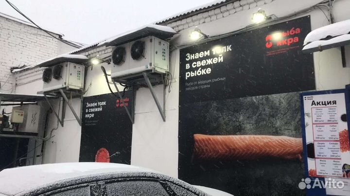 Икра красная/Рыба