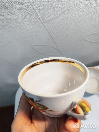 Чашки Kahle +чашки гфз (городница) +блюдца пфз