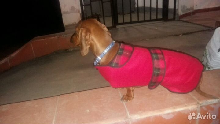 Попоны. Одежда для собак Cosipet Англия