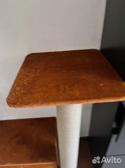 Игровые комплексы и домики для котов