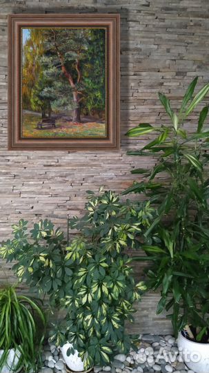 Картина маслом Летний Пейзаж Зеленоград