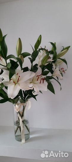 Лилии цветы букеты